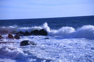 DSC_0590 (Large).JPG